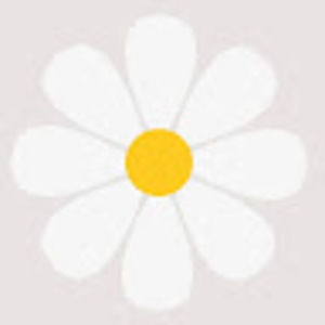 Meet your Posher, Allyn